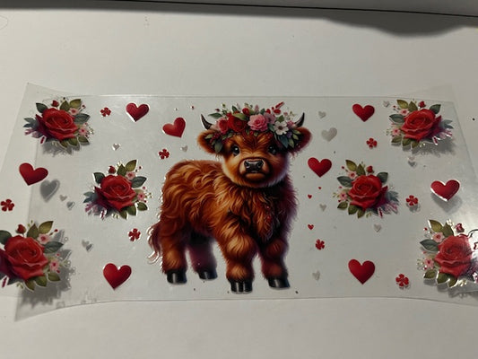 Highland cows